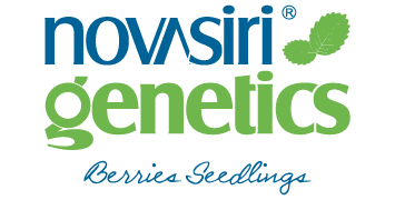 Nova Siri Genetics