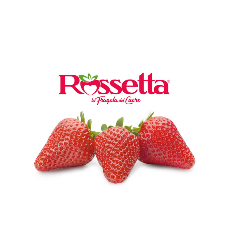https://www.novasirigenetics.com/wp-content/uploads/2022/07/nova-siri-genetics-rossetta-logo.jpg