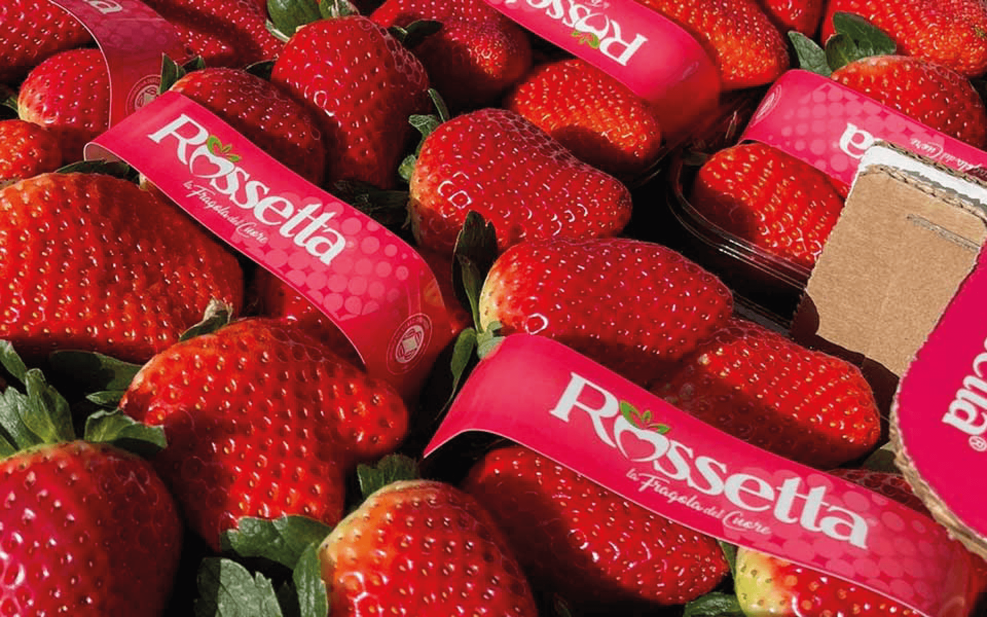 Foto-rossetta-articolo-nsg-italia-fruit-bergamo