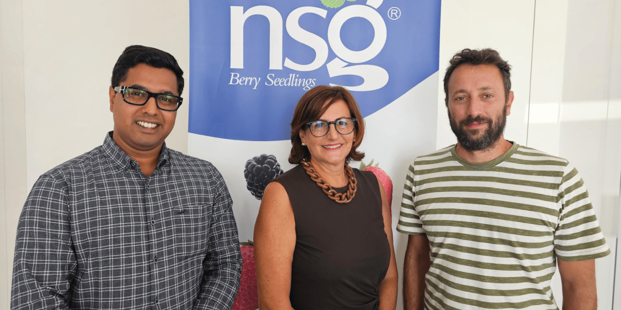 Nova Siri Genetics firma una colaboración con dos empresas indias para el desarrollo comercial y la experimentación de sus variedades de fresa