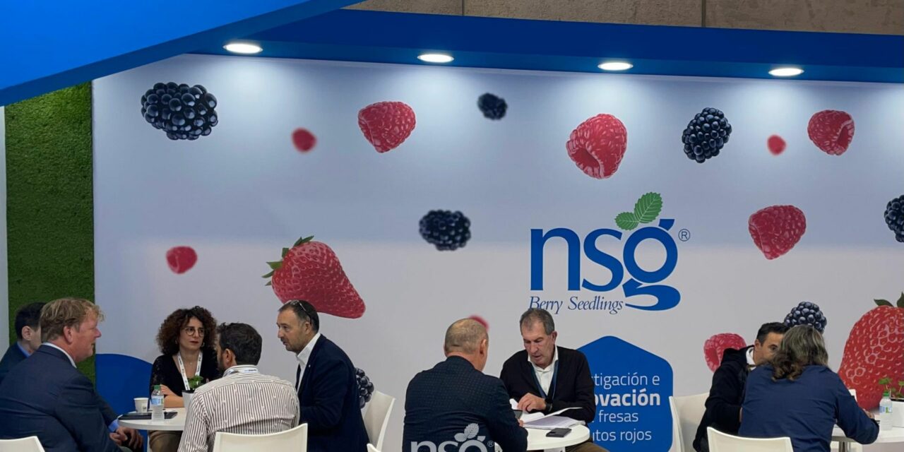 Nova Siri Genetics promuove la sua crescita internazionale per diffondere le sue varietà di fragole in nuovi Paesi dopo il successo ottenuto al Fruit Attraction