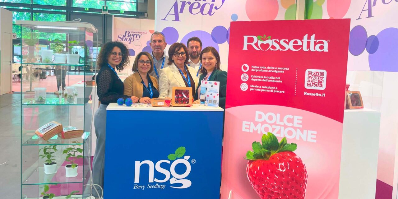 Innovazione, sostenibilità e biotecnologie al centro della partecipazione di NSG a Macfrut 2025