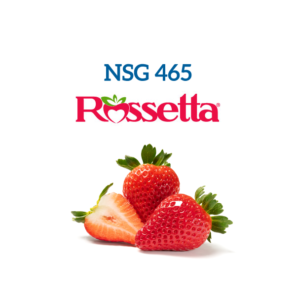 https://www.novasirigenetics.com/wp-content/uploads/2025/06/Nsg-465-rossetta-immagine-sito-nuova2.png